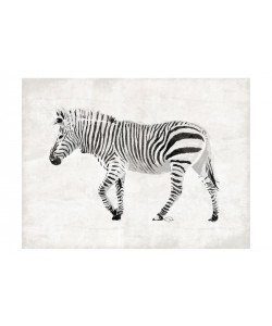 Onrei, ALONE ZEBRA