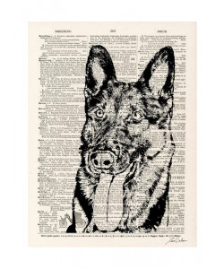 Tina Carlson, THE NEWSPAPER I