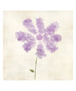 Kristin Emery, FLOWERS PURPLE