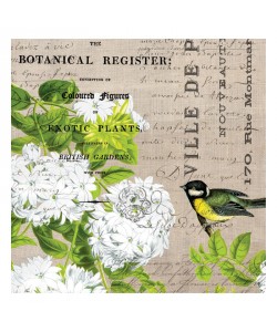 Tammy Repp, BOTANICAL POSTCARD I