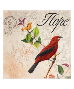 Jace Grey, BIRD POSTCARD III