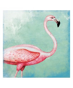 Jace Grey, FLAMINGO II