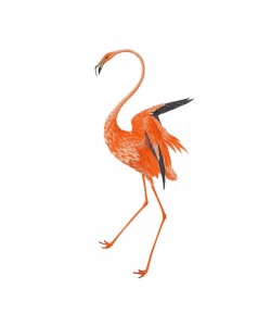 Sheldon Lewis, ORANGE FLAMINGO I