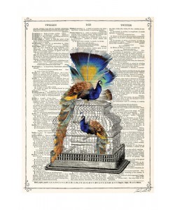 Tina Carlson, PEACOCKS CAGE II