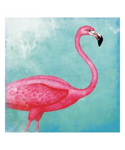 Jace Grey, FLAMINGO III