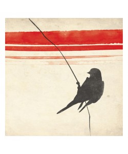 Jace Grey, SIMPLE BIRD I
