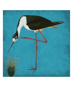 Sheldon Lewis, NATURAL BALANCE I