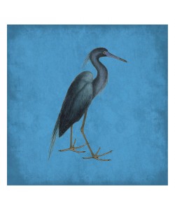 Sheldon Lewis, HERON IN BLUE