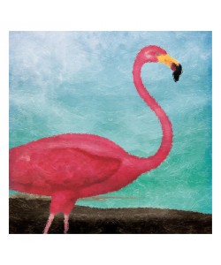 Jace Grey, FLAMINGO I