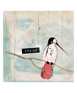 Jace Grey, BELIEVE DREAM BIRD II