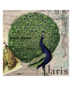 Tammy Repp, BOTANICAL REGISTER IV