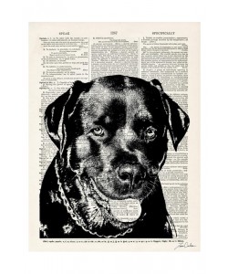 Tina Carlson, THE NEWSPAPER IV