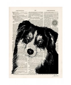 Tina Carlson, THE NEWSPAPER VII