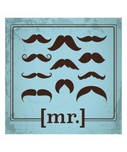 Melody Hogan, MR. BLUE I