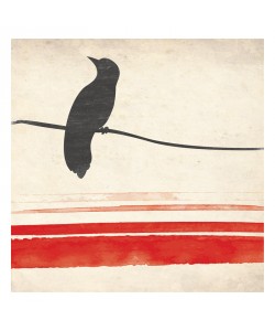 Jace Grey, SIMPLE BIRD II