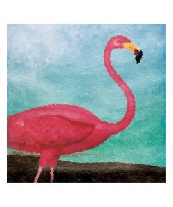 Jace Grey, FLAMINGO I