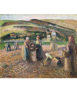 Camille Pissarro, Kartoffelernte. 1893