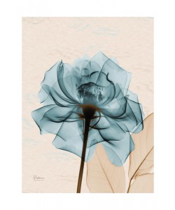 Albert Koetsier, ROSE IN BLUE I