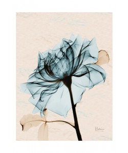 Albert Koetsier, ROSE IN BLUE II