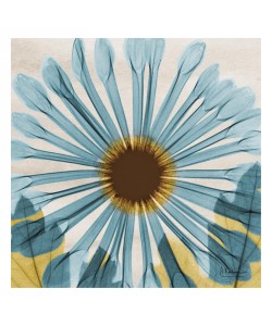 Albert Koetsier, CHRYSANTHEMUM IN BLUE