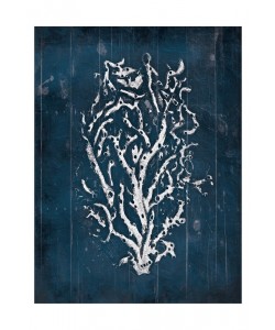 Jace Grey, CORAL I