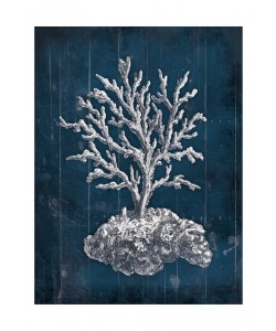 Jace Grey, CORAL II