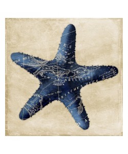 Jace Grey, MAP INDIGO STARFISH