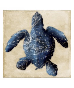 Jace Grey, MAP INDIGO TURTLE