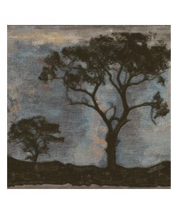 Taylor Greene, TREE HORIZON I