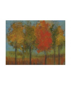 Linda Davey, A FEW BLOND TREES II