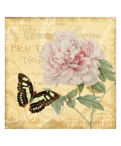 Diane Stimson, FLOWERS WITH BUTTERFLY