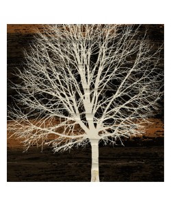 Diane Stimson, NIGHT TREE
