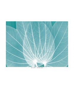 Albert Koetsier, TURQUOISE SET I