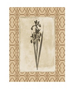 Jace Grey, EARTHY FLORAL BORDERED II