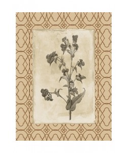 Jace Grey, EARTHY FLORAL BORDERED I