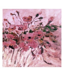 Kruk, POPPIES PINK II