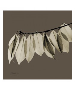 Albert Koetsier, LEAF BROWN IV