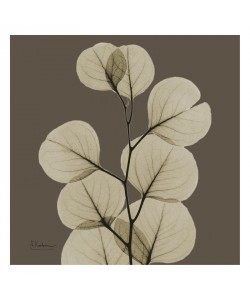 Albert Koetsier, LEAF BROWN II