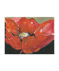 Smith Haynes, BLEACH BLOSSOM RED