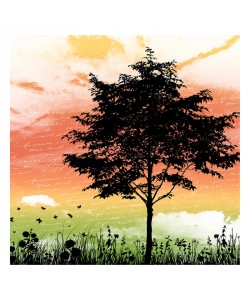 Jace Grey, SUNSET I