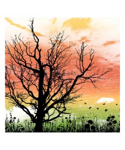 Jace Grey, SUNSET II