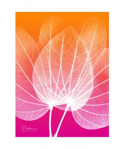 Albert Koetsier, PINK ORANGE V