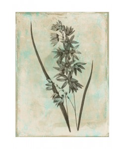 Jace Grey, EARTHY FLORAL GREEN III