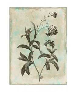 Jace Grey, EARTHY FLORAL GREEN IV