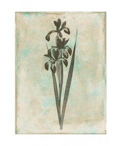 Jace Grey, EARTHY FLORAL GREEN II