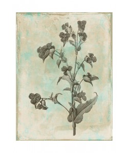 Jace Grey, EARTHY FLORAL GREEN I