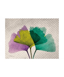 Albert Koetsier, PLAY OF COLORS I