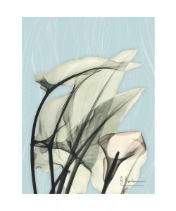 Albert Koetsier, MINT CLAY I