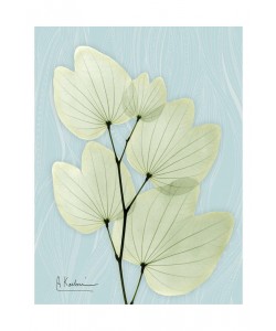 Albert Koetsier, MINT CLAY II