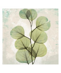 Albert Koetsier, LEAF WHITE I